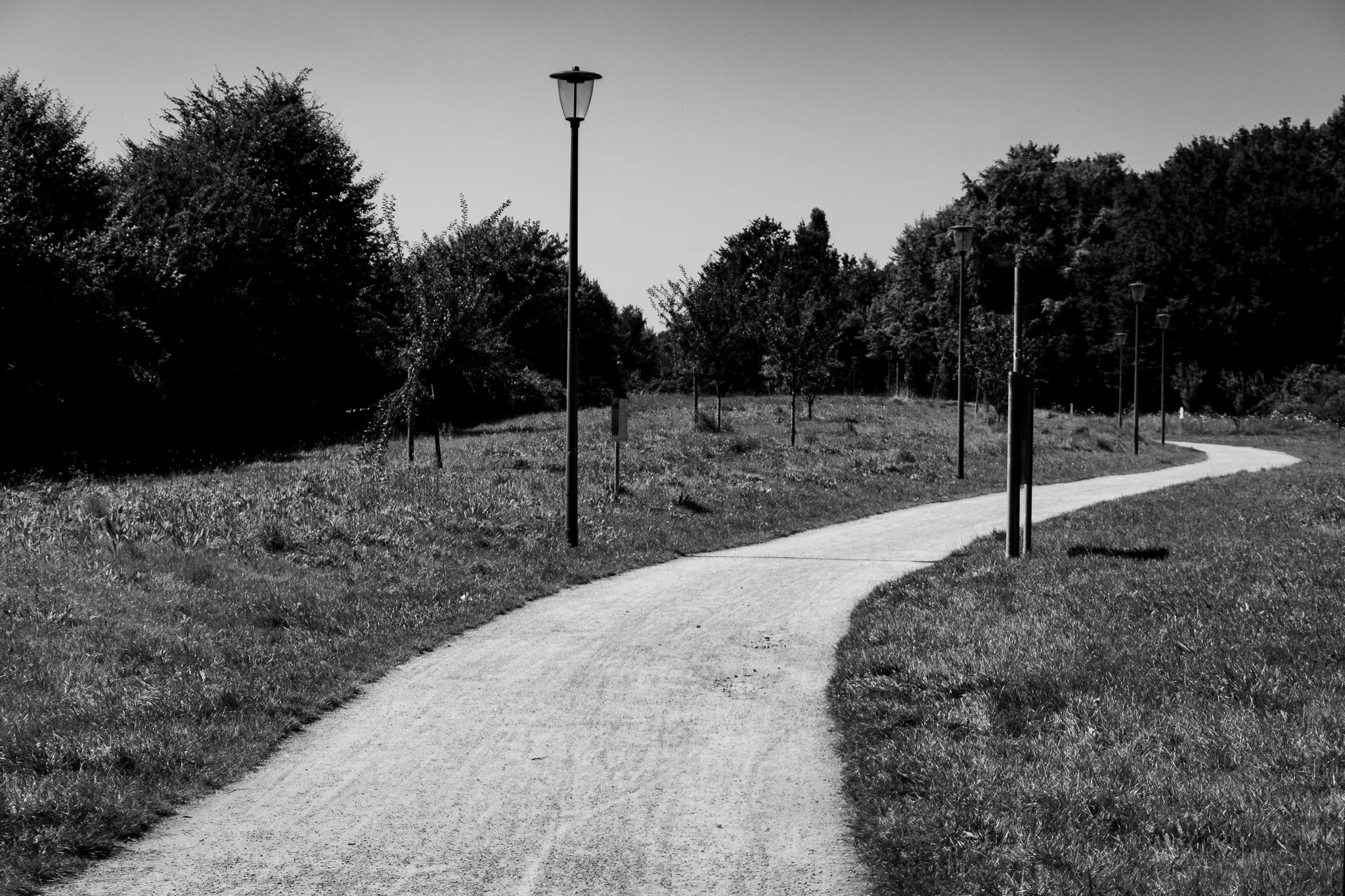 Portfolio Bild /_astro/dortmund_park.D-0l2VFg.jpg