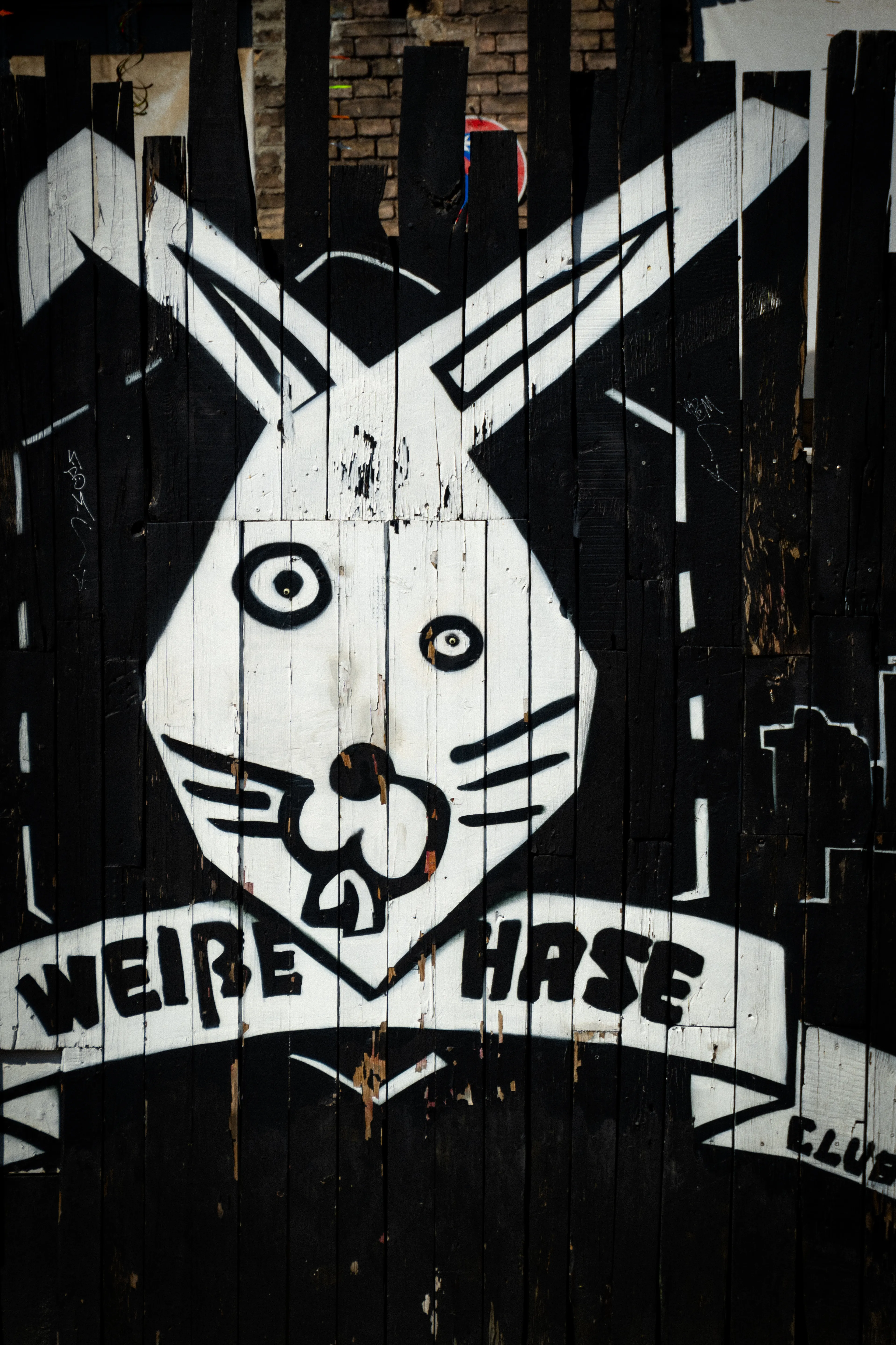 Portfolio Bild /_astro/rabbit.Dqj72yYA.jpg