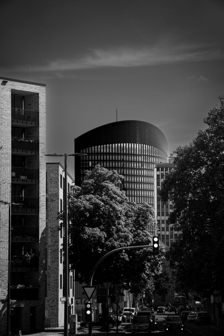 DSC06636