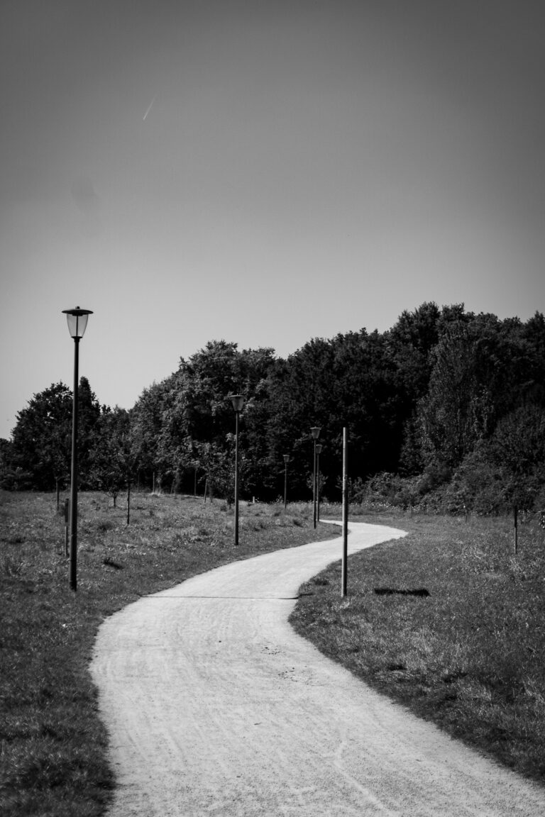 DSC06912